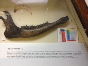 17159538373_eb01c1c337_o