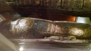 17500182049_1b374aeb37_o