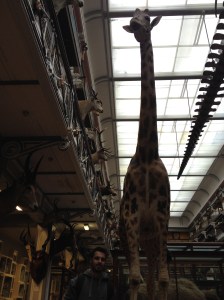 17593626509_2428ce4bea_o