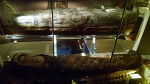 17686447085_f279883e0c_o