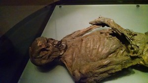 17686553671_17222a961d_o