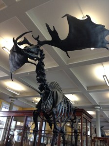 17779836605_0276be7bec_o