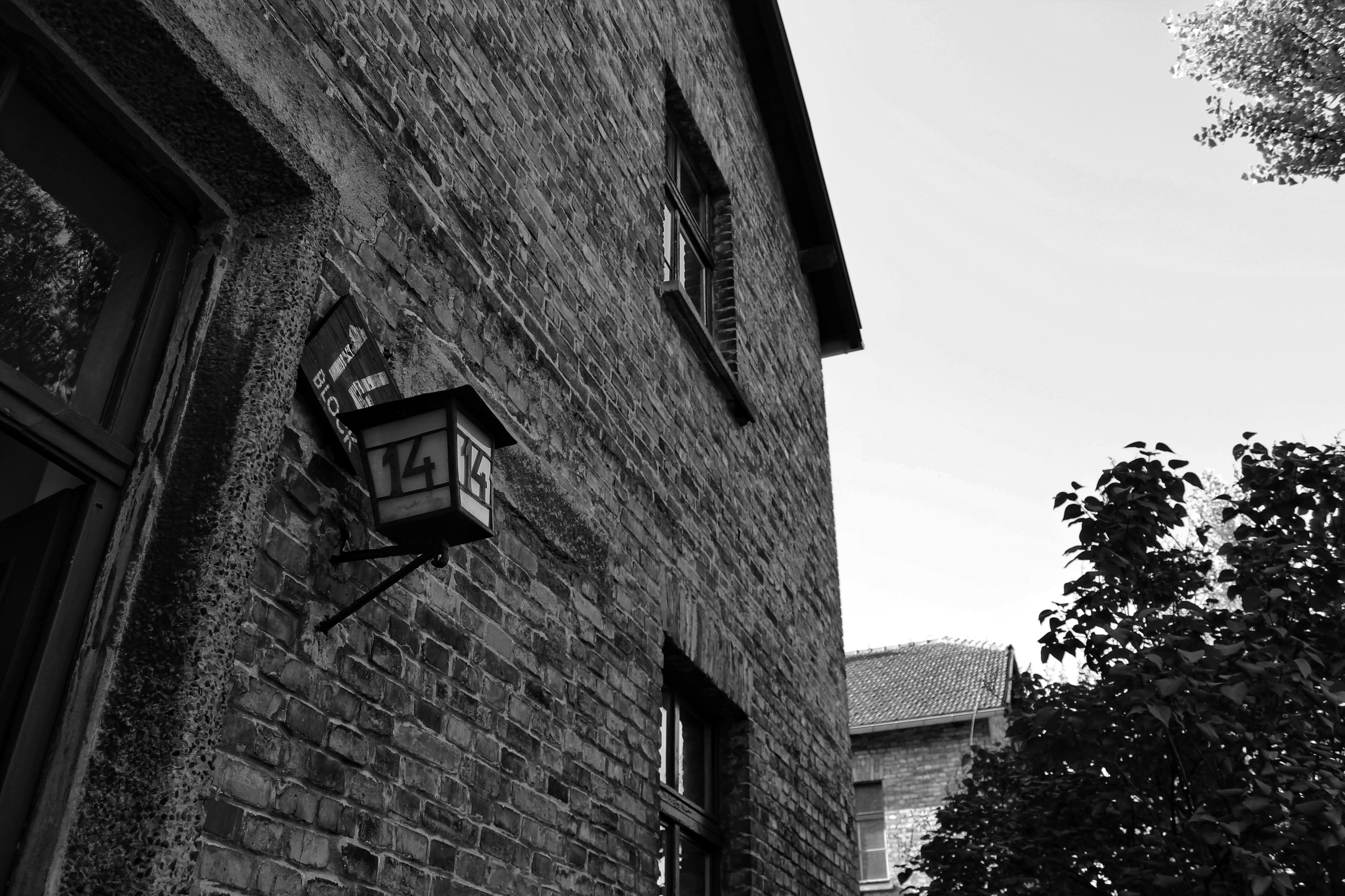 44963335614_36b4299010_o