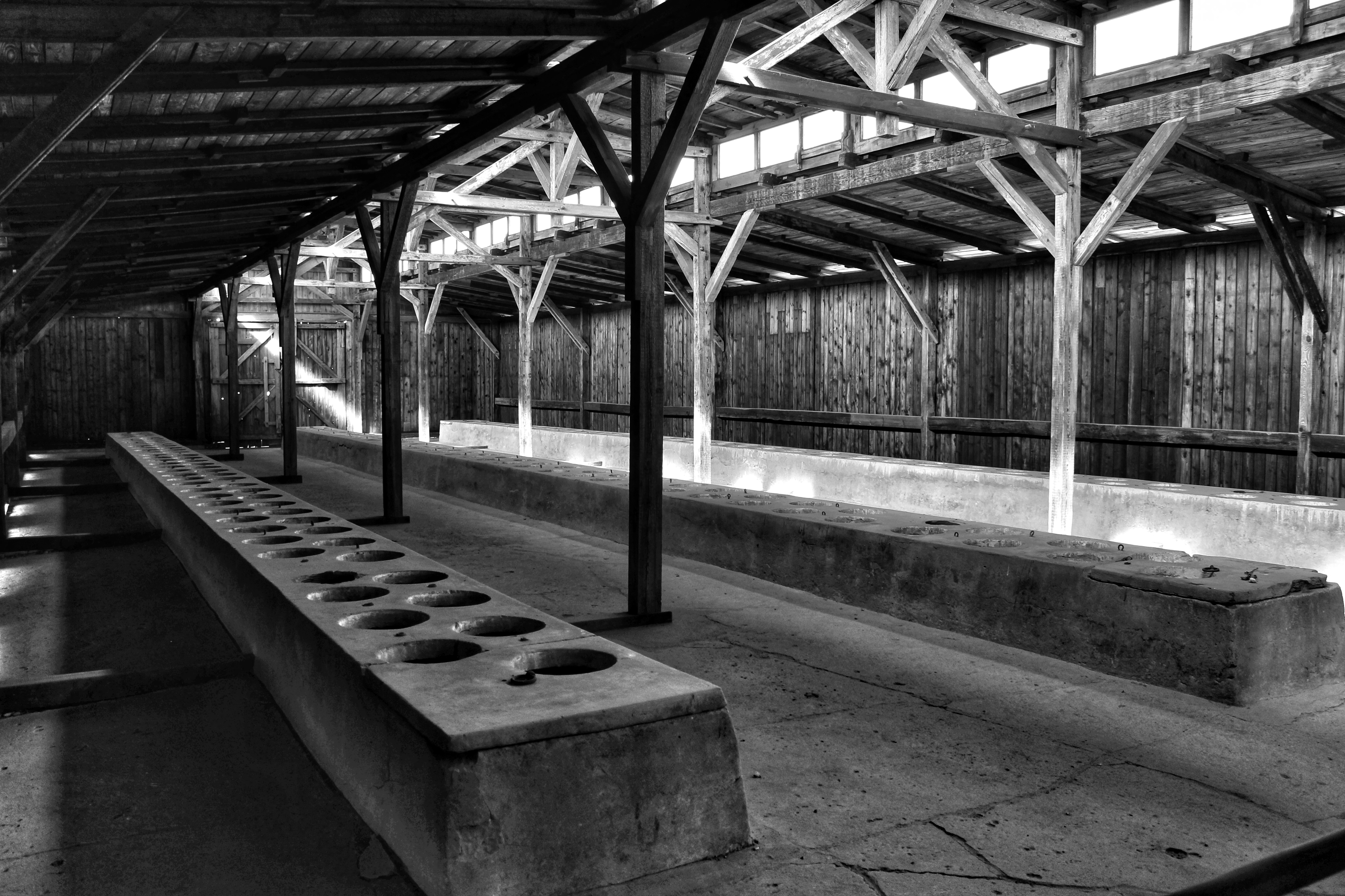 45042532304_de5fa5198b_o