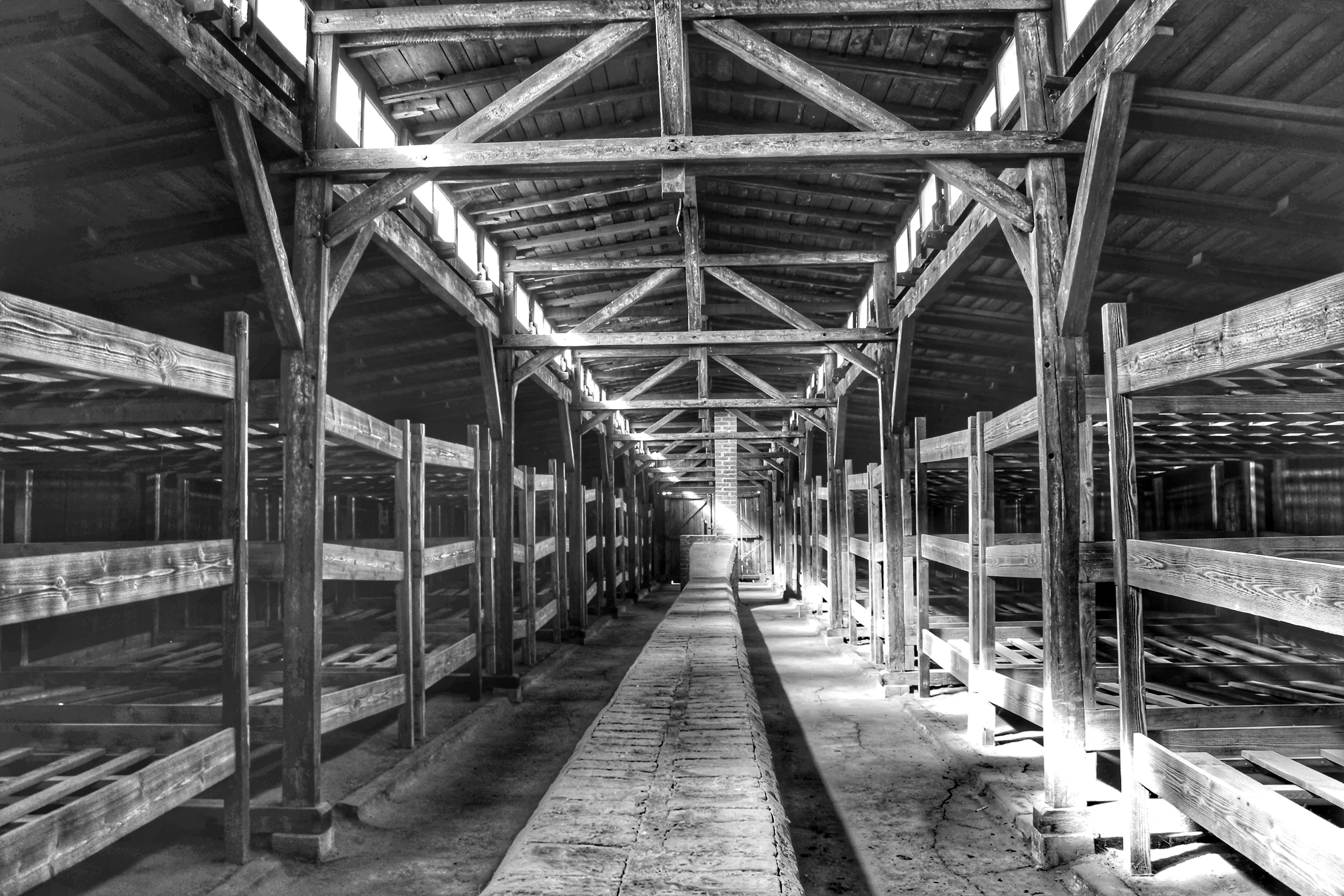 45042532484_e96ddf3c80_o