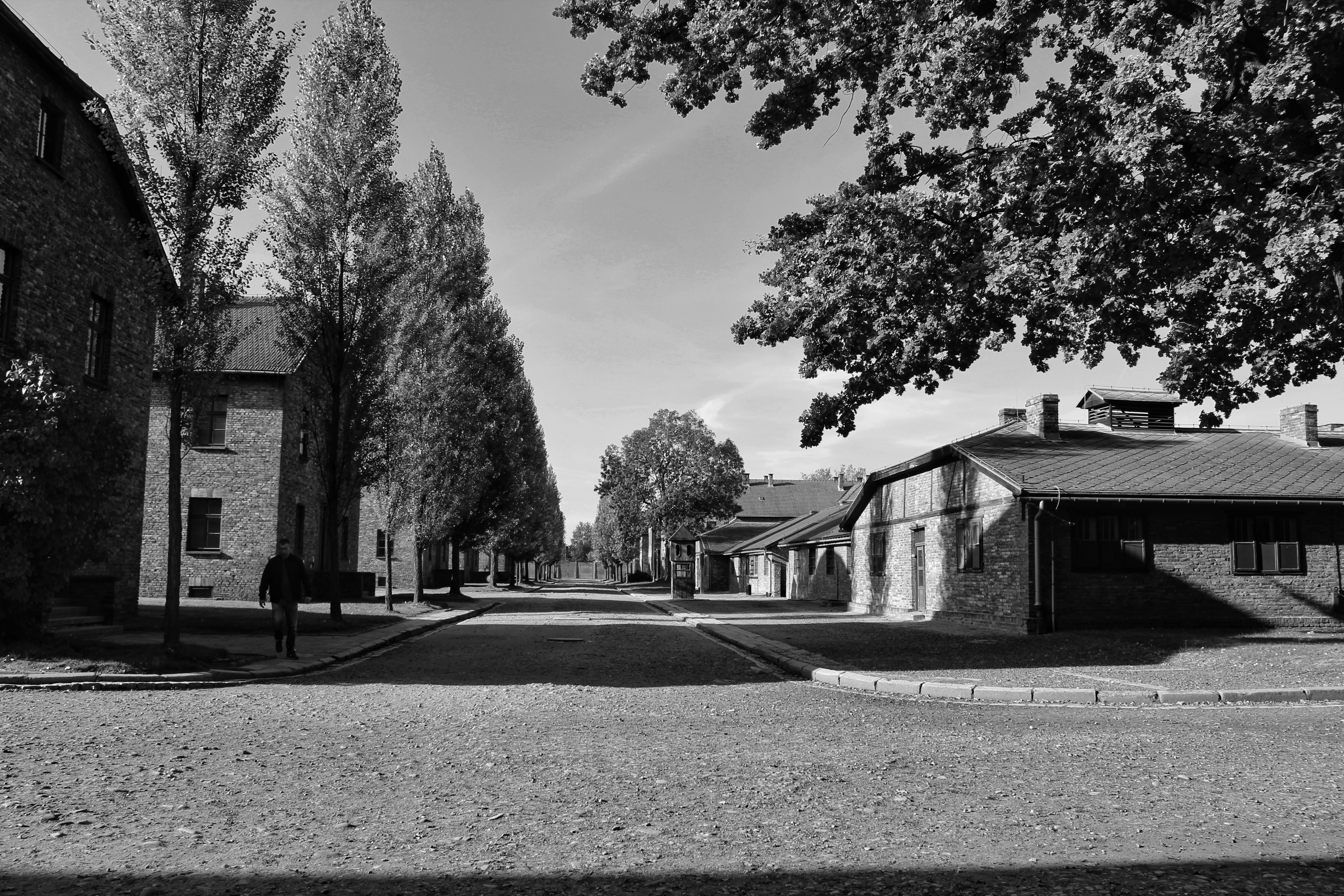 45637456392_73bc271950_o