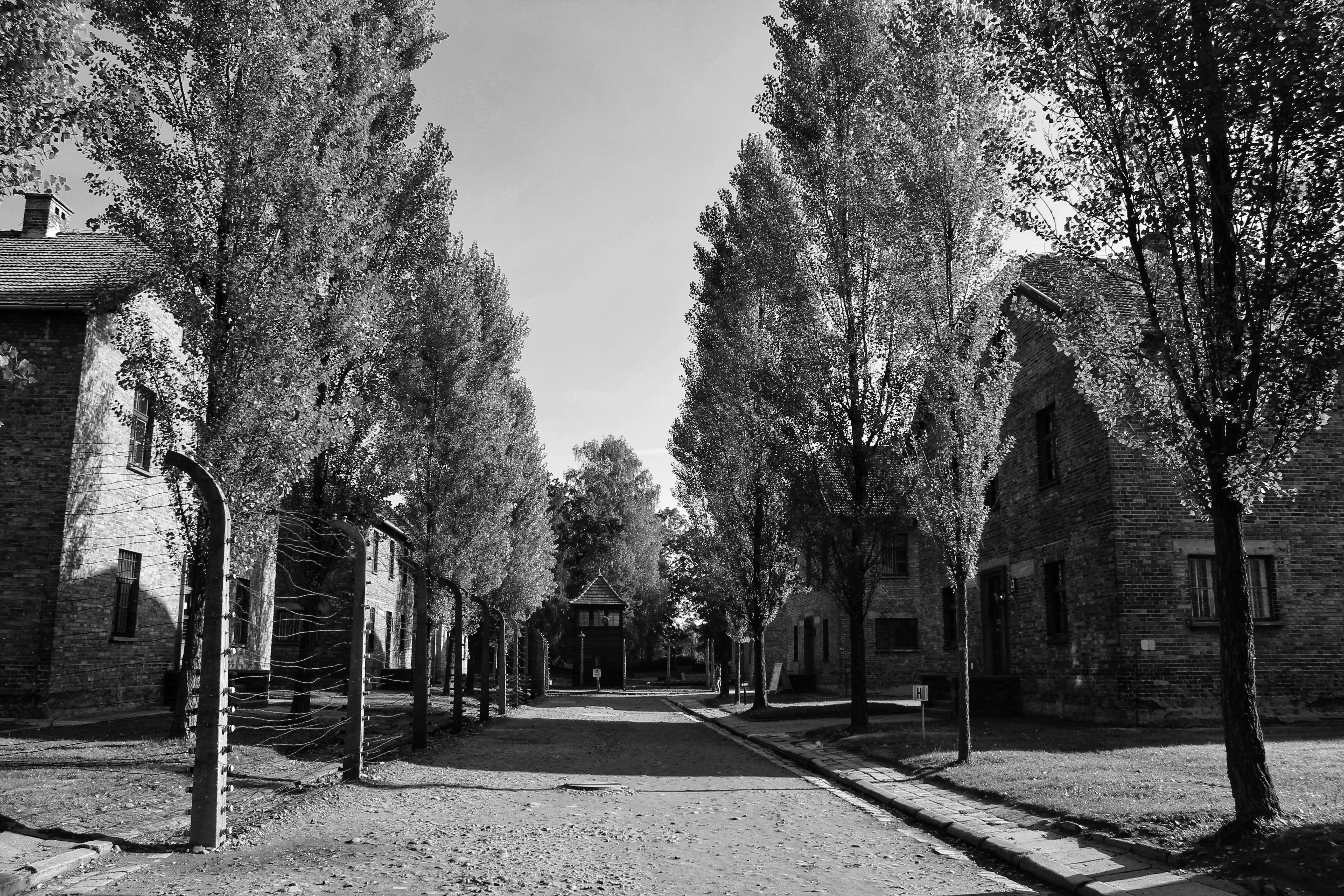 45688009211_c9d8893a7f_o