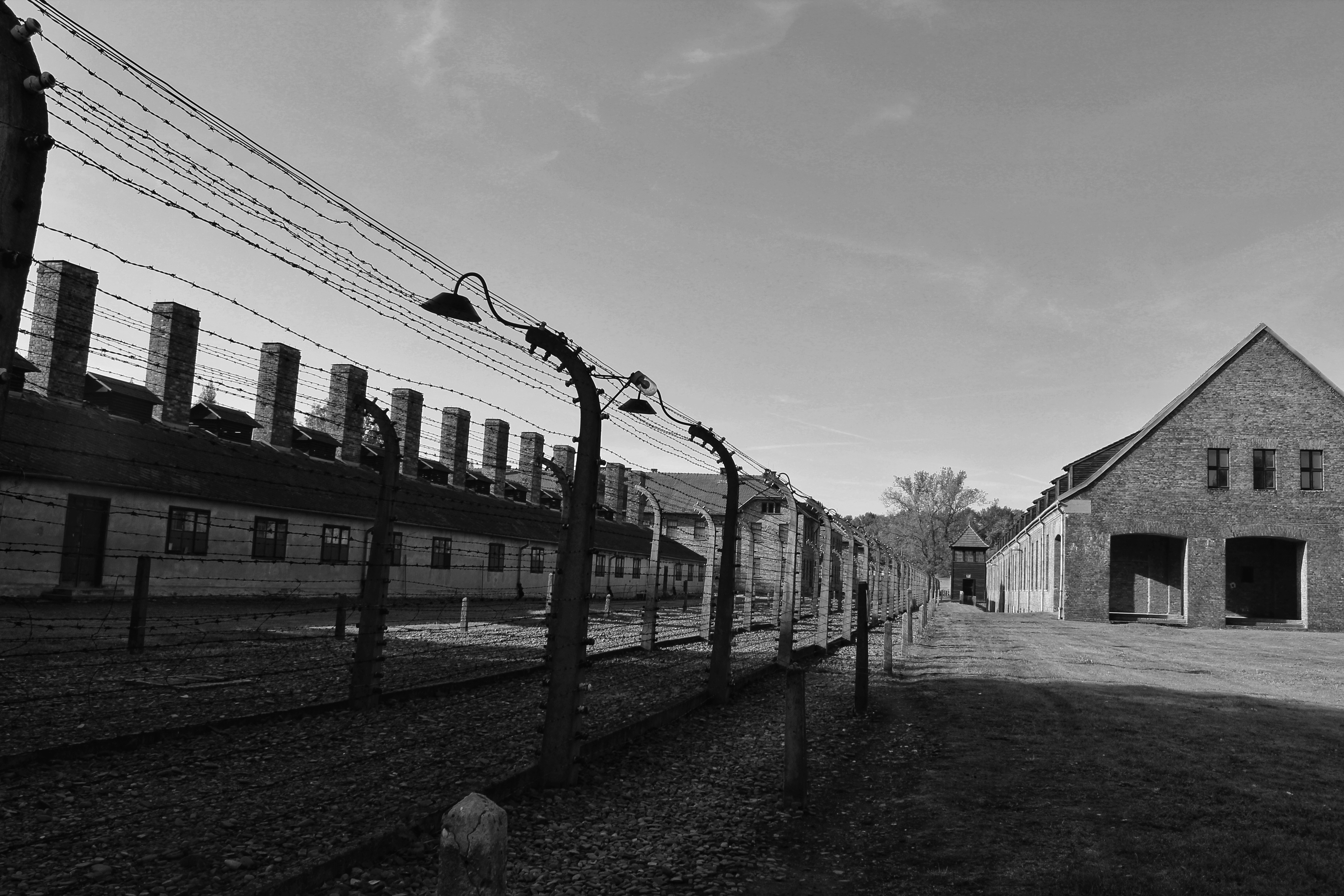 45688012451_fcb9db85c1_o