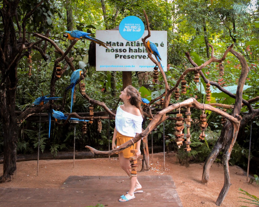 4 dias mágicos em Foz do&nbsp;Iguaçu!